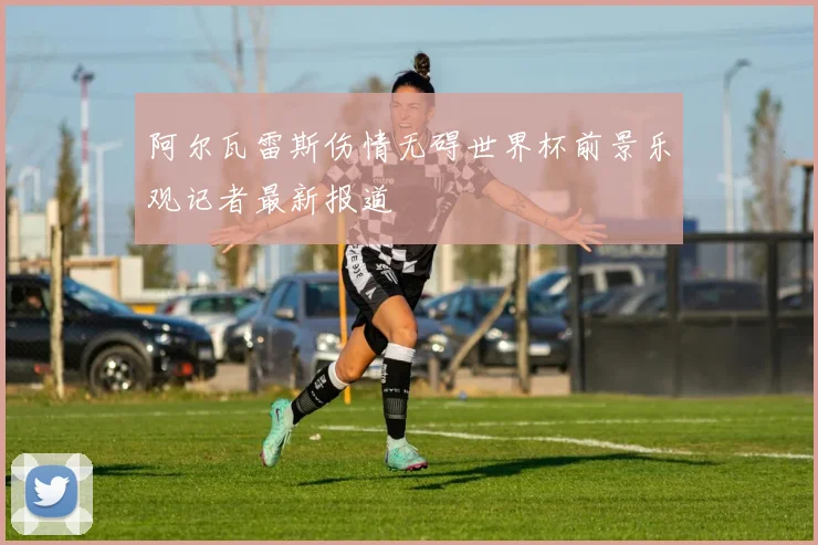 阿尔瓦雷斯伤情无碍世界杯前景乐观记者最新报道